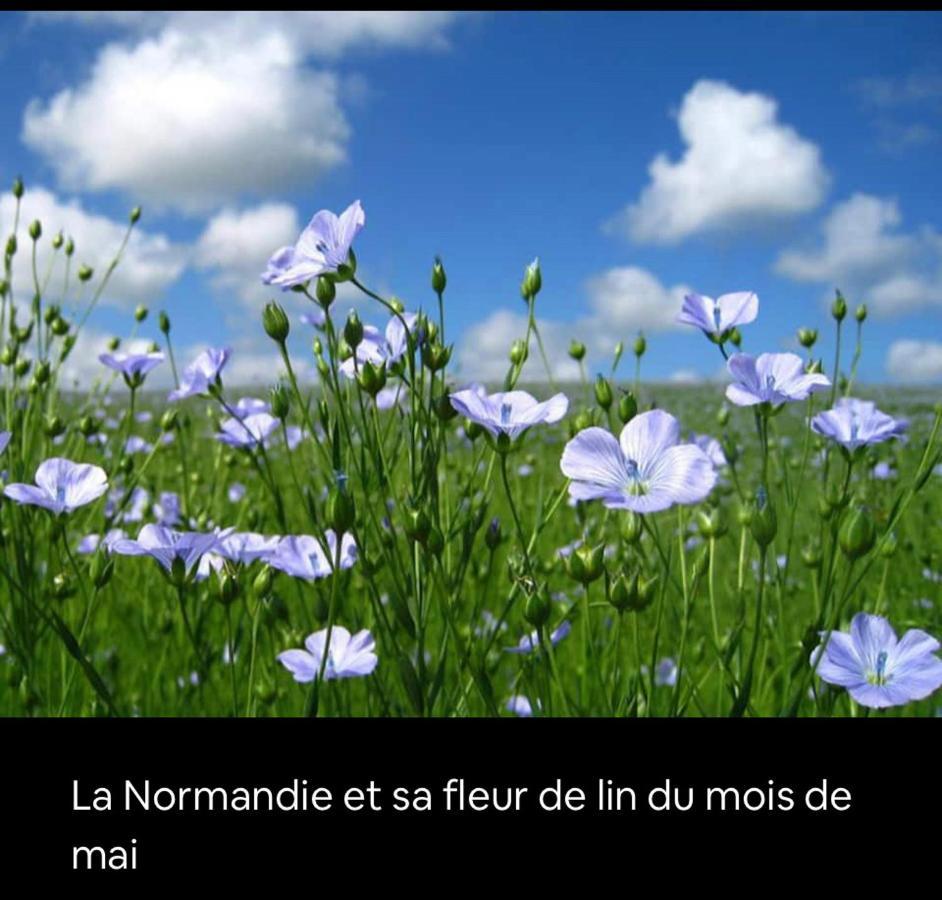 Appartement Veules Roses , La Cressonniere: « Veules & Victor «  מראה חיצוני תמונה